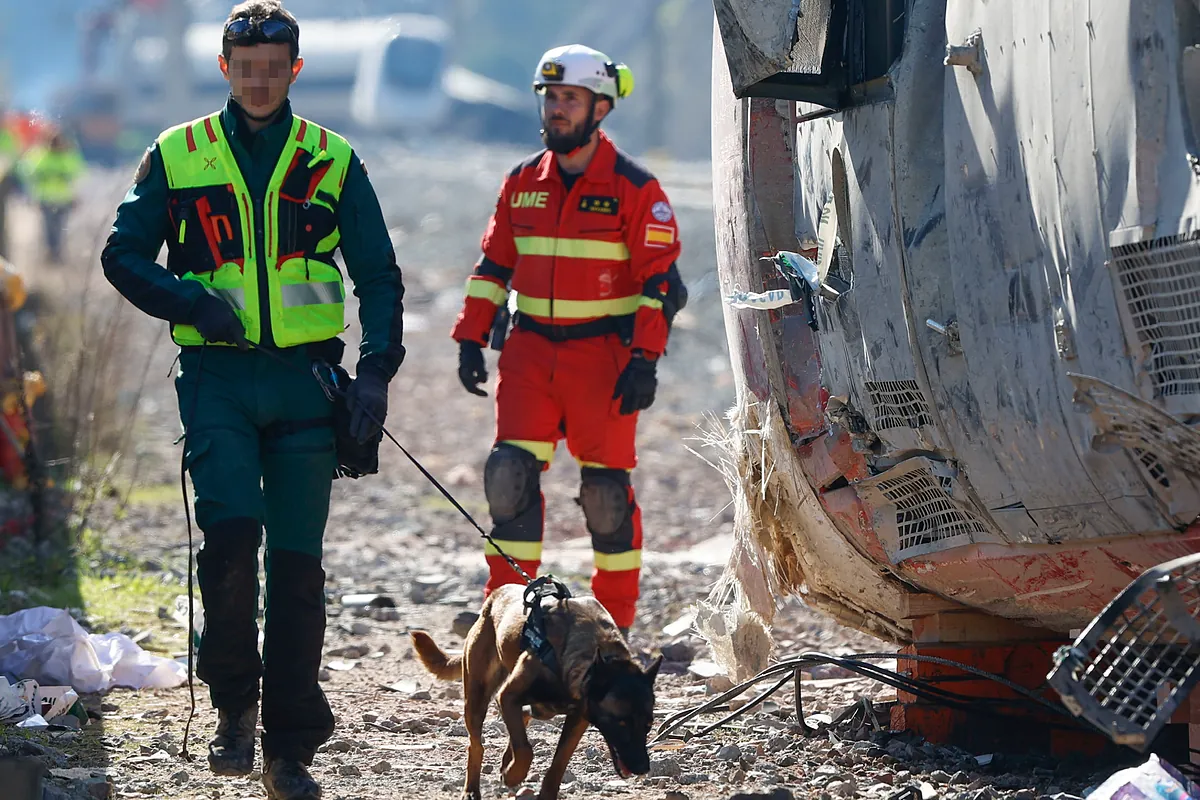 ¿Qué está pasando con los trenes en España?