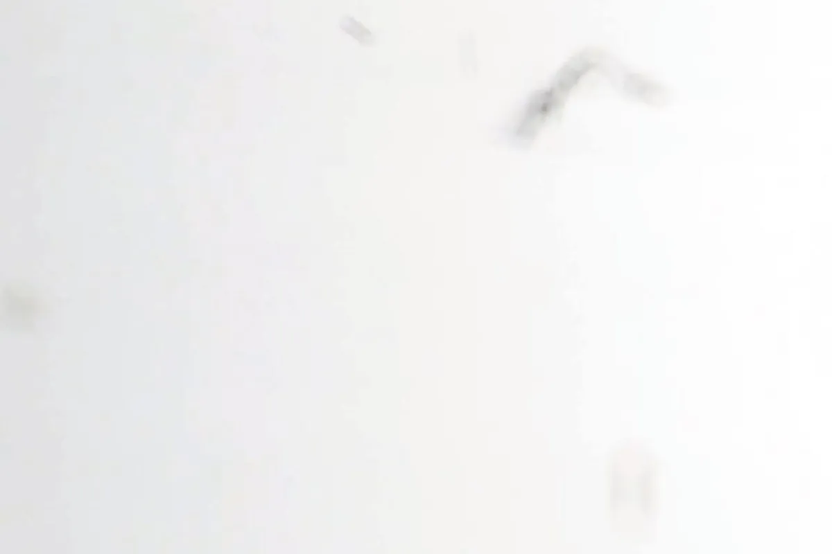 video pepe