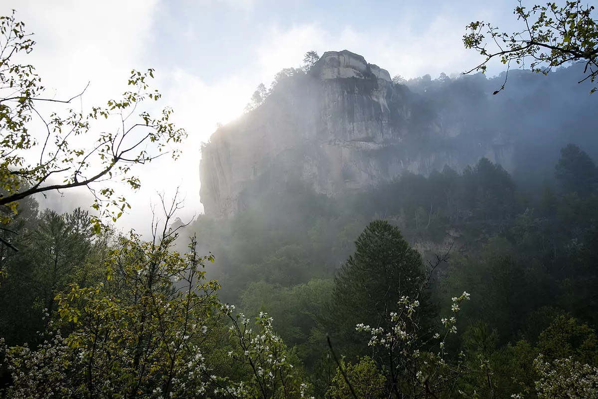 Expedición al origen del agua | Planes