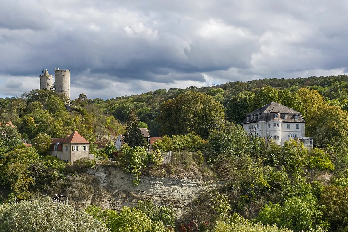 "Pensar alemán": La batalla de AfD en Sajonia-Anhalt