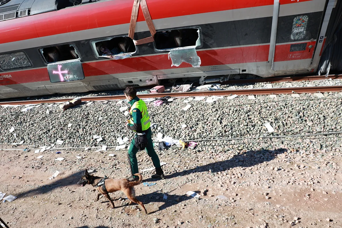 La juez de Montoro designa a los tres peritos que elaborarán un informe independiente del accidente de Adamuz