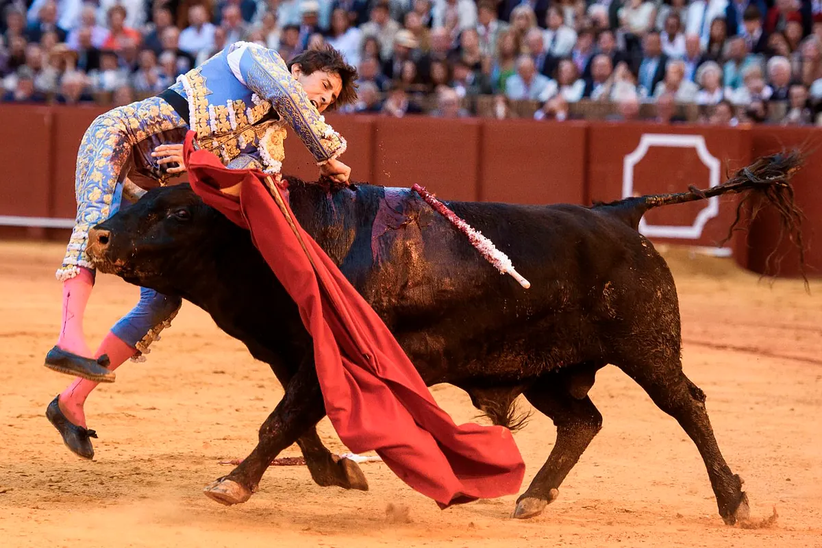 Sobre la persistencia del antitaurino