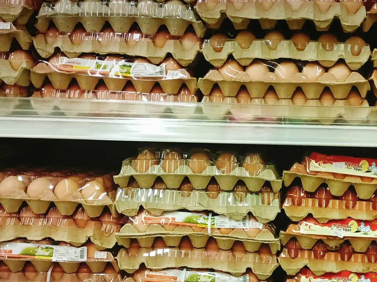 ¿Por qué en los supermercados los huevos no están en la nevera y en casa sí debemos meterlos? Esta es la razón