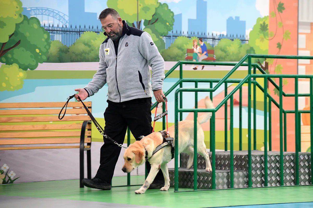 Esos ojos indispensables, con pelo, patas y buen carácter: "Paso más tiempo con el perro guía que con mi mujer y mis hijos"