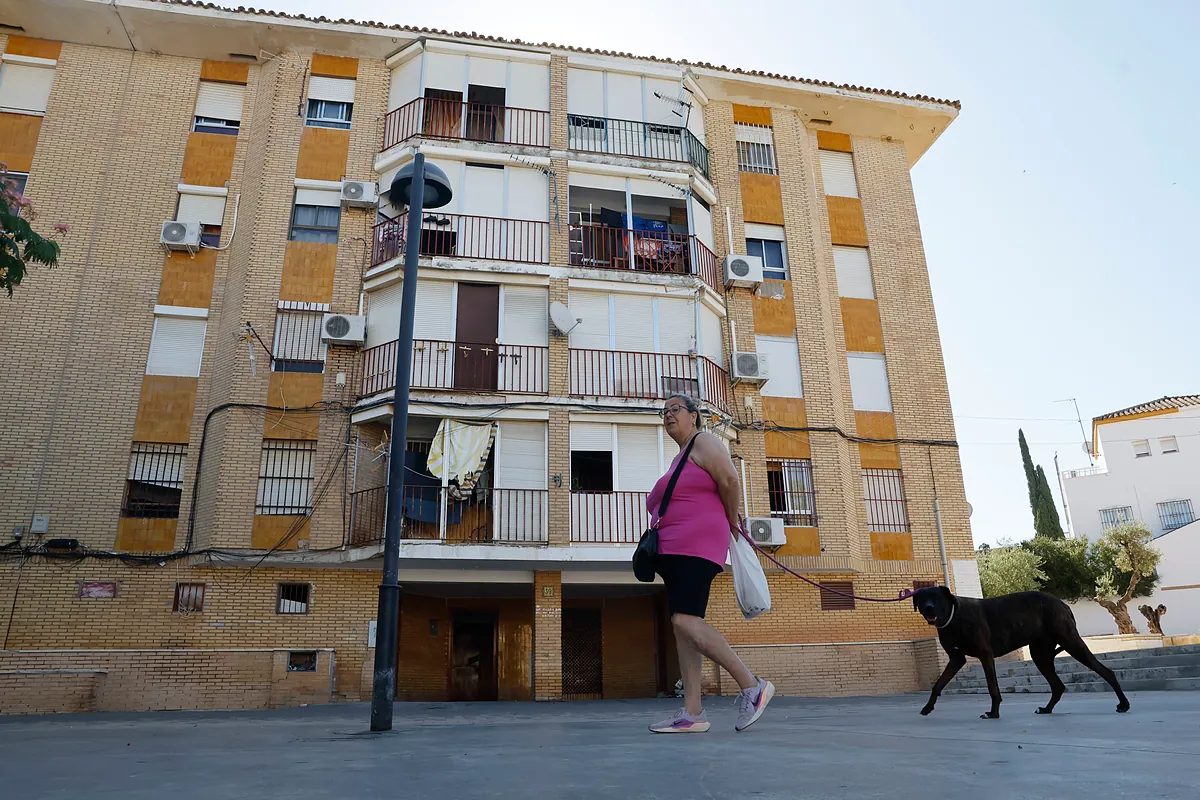 El grito de socorro del hijo de la víctima del crimen machista de Mairena: "Mi papá está apuñalando a mi mamá"