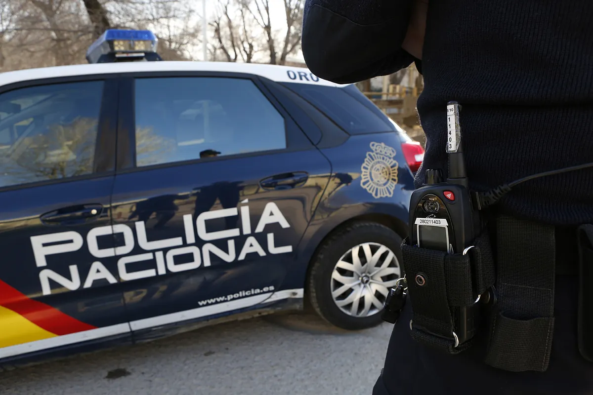 Detenido tras violar, golpear y robar a una joven de 20 años en unos jardines de Retiro