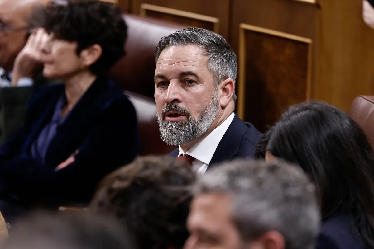 Vox intenta apagar a los críticos ligándolos a una "estrategia" del PP