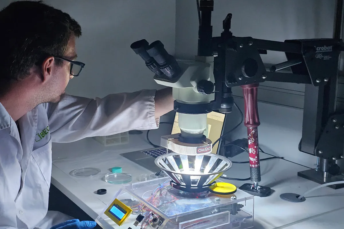 "Prótesis molecular" para la retina dañada: crean fármacos activados por luz que restauran la visión en ratones ciegos