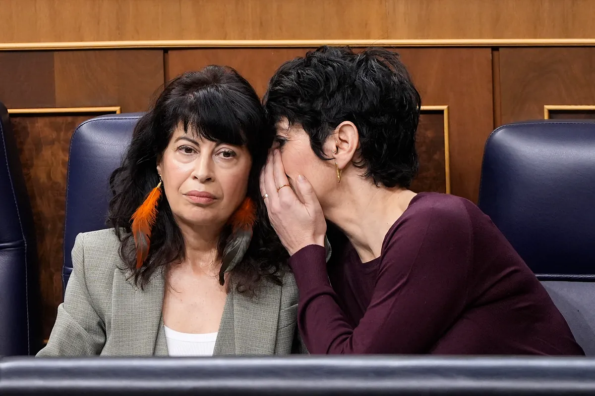Plaga de rata ibérica en las inmediaciones del Congreso