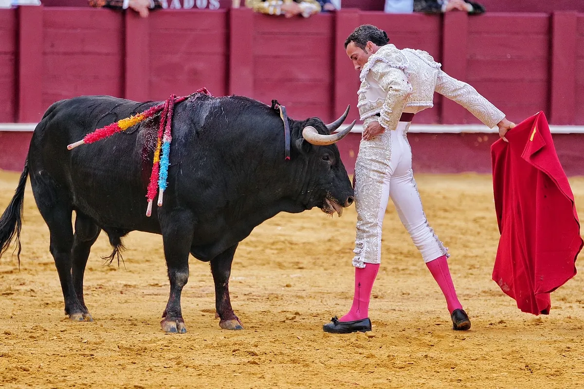 David de Miranda es el "número 1" en rendimiento de un escalafón que lidera Talavante y en el que mandan Morante y Roca Rey