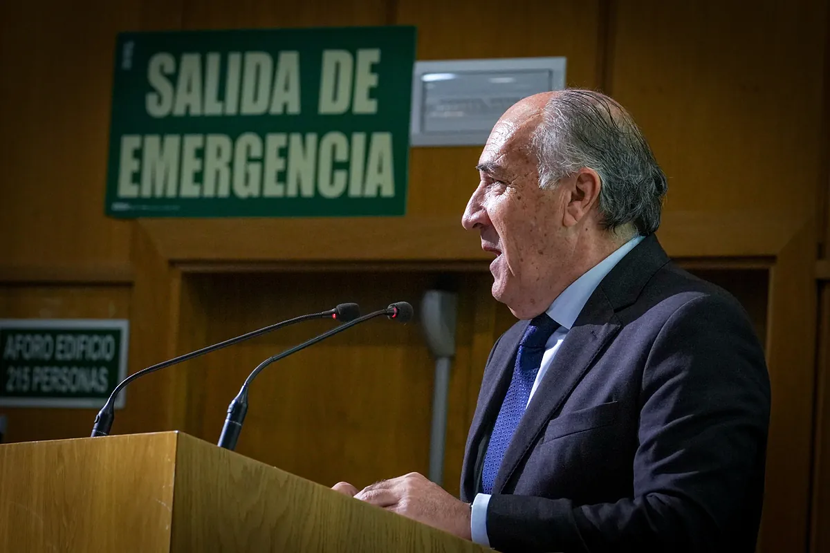 El PSOE pide una moción de censura en Algeciras para que Landaluce deje de ser alcalde tras las quejas por su comportamiento machista en el Senado