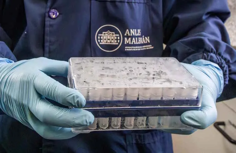 Một nhà khoa học Argentina cầm nhiều lọ mẫu nghi ngờ các ca hantavirus Andes. Afp (Ảnh: El Mundo)
