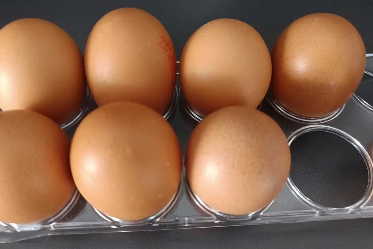 Los expertos en seguridad alimentaria coinciden: dónde guardar los huevos para evitar la salmonela y cómo conservarlos mejor