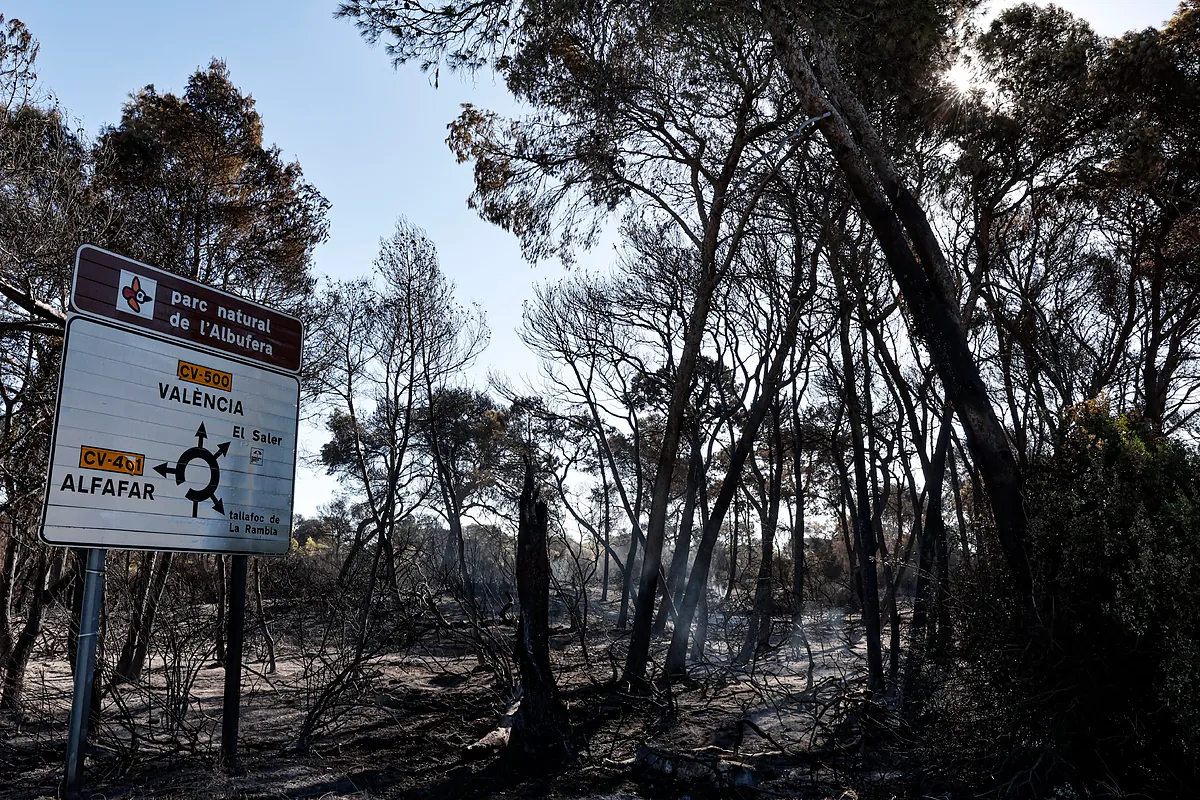 Las restricciones por el incendio de El Saler acaba este lunes