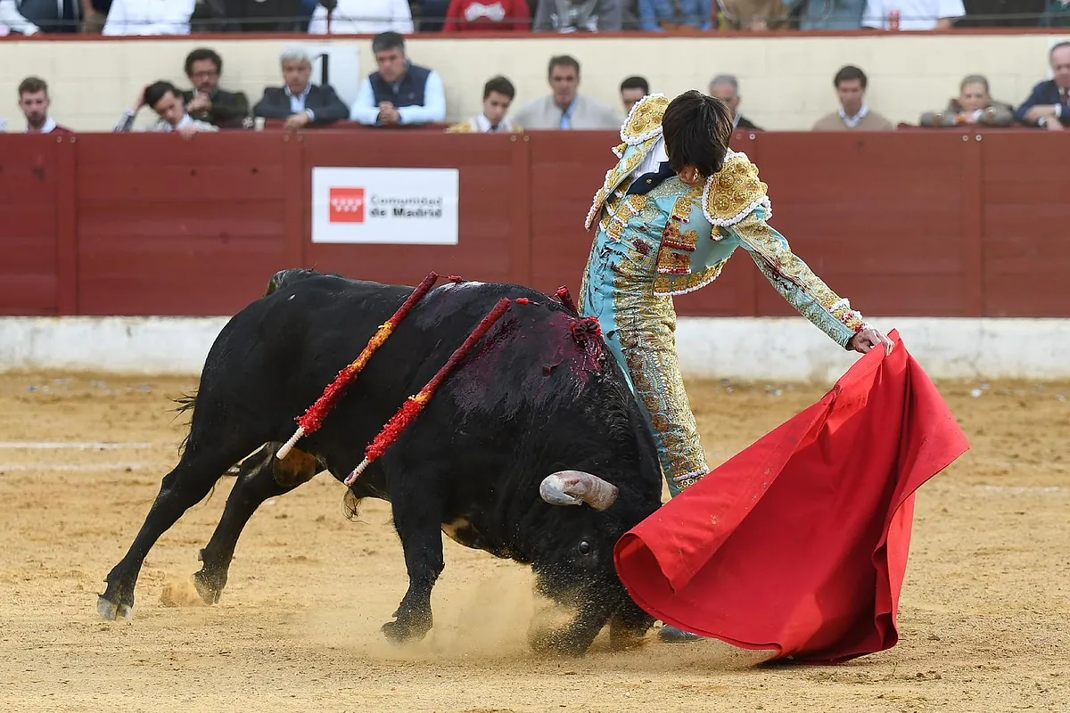 El torero Alberto Durán, en la UCI tras una cornada en el escroto que requirió un bypass vascular — image 3