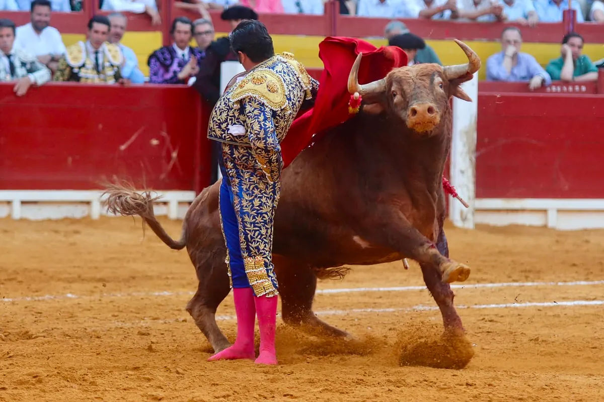Un Morante de ensueño y cabreado con la doble vara de medir de Alicante: Talavante, a hombros con una gran corrida de Santi Domecq