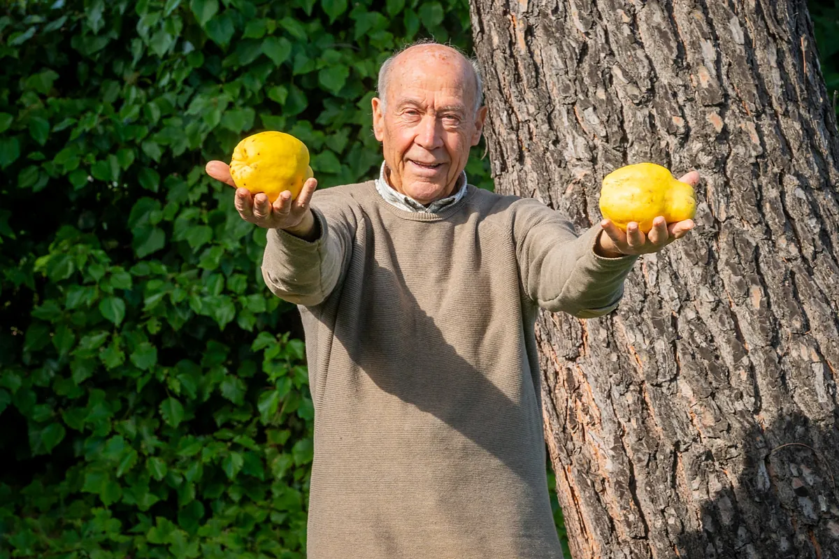 García Vallano, la marca de membrillo que ha creado a los 80 años un emprendedor para reivindicar los beneficios de este dulce tradicional