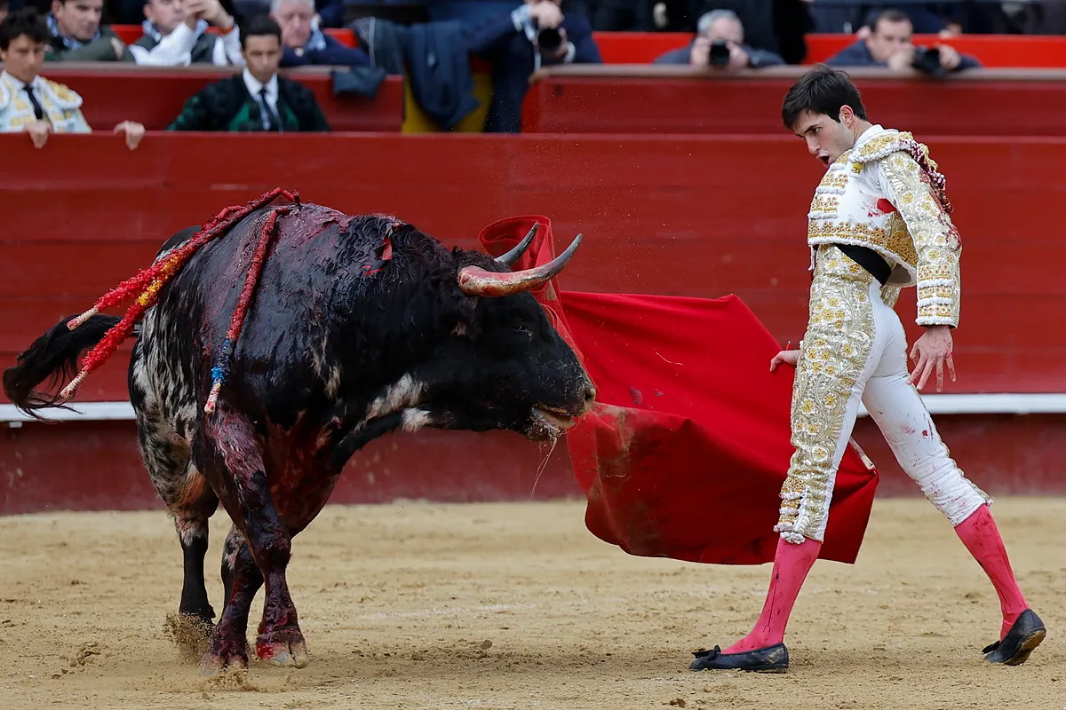 Samuel Navalón, en todo lo alto de unas Fallas de altísimo nivel ganadero (con premio equivocado)