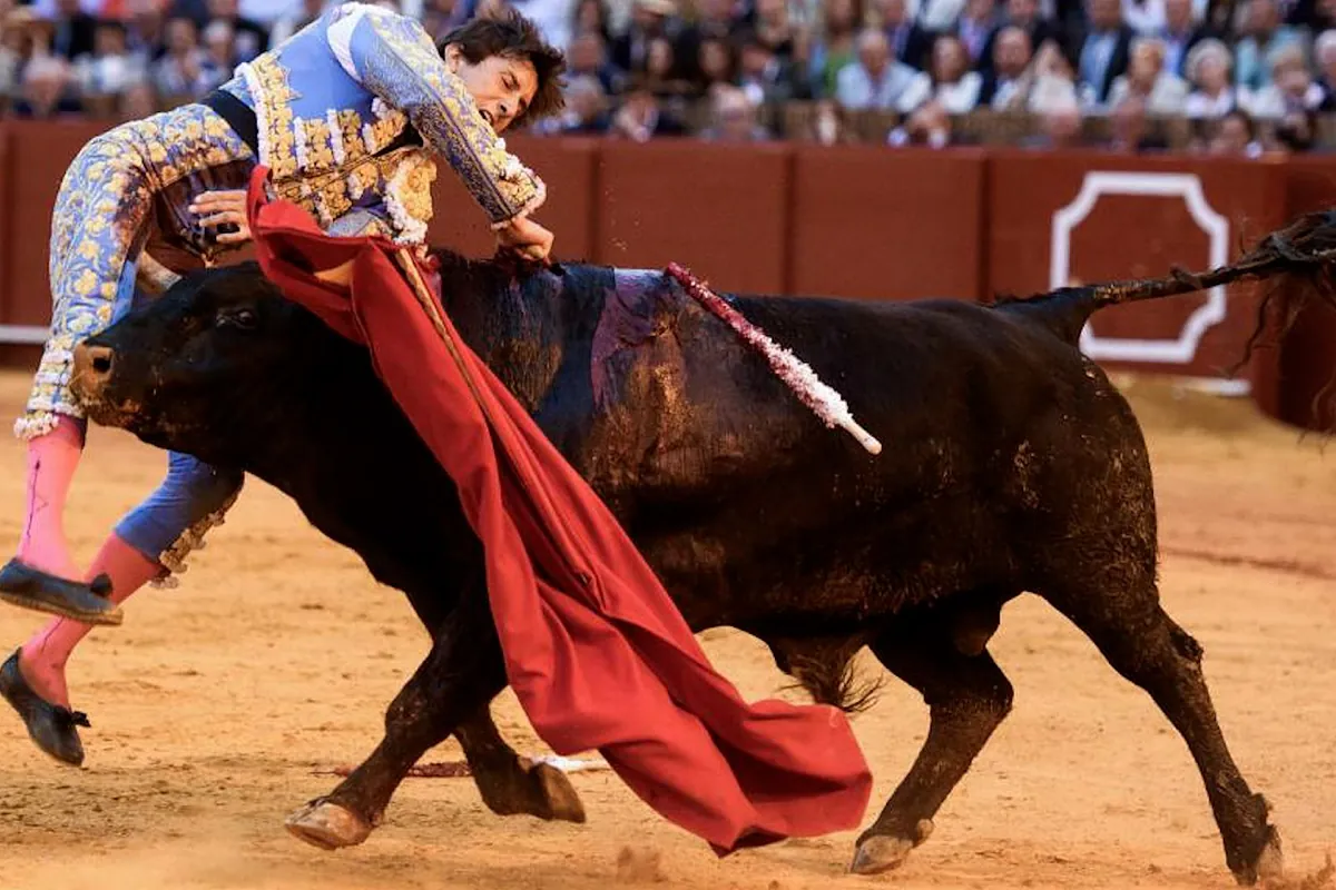 Momento de la brutal cornada a Roca Rey en Sevilla
