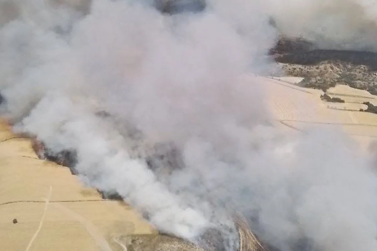 240 personas desalojadas por un incendio forestal en Tamarite (Huesca)