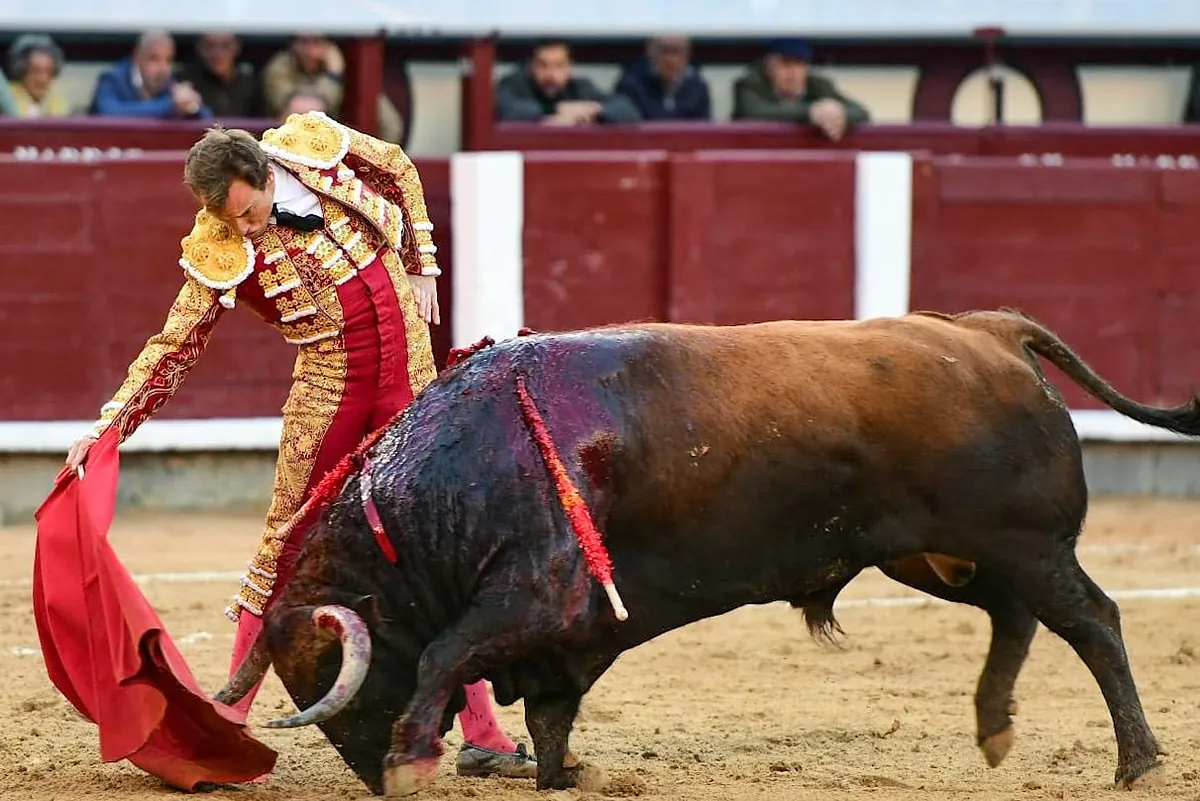 Un gran toro para un buen Román, culmen de una boyante corrida de Mayalde en Las Ventas