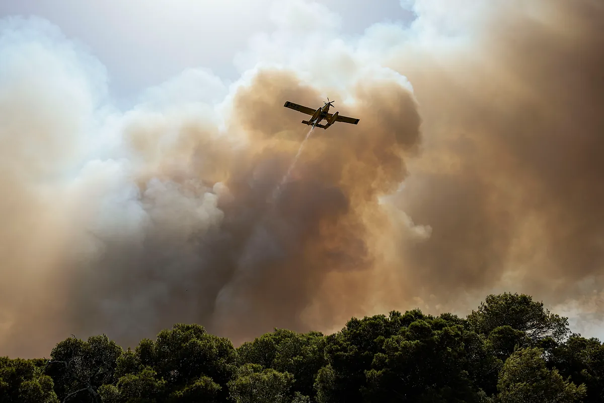 Evacúan el pueblo de El Saler por un incendio forestal junto al parque natural de La Albufera
