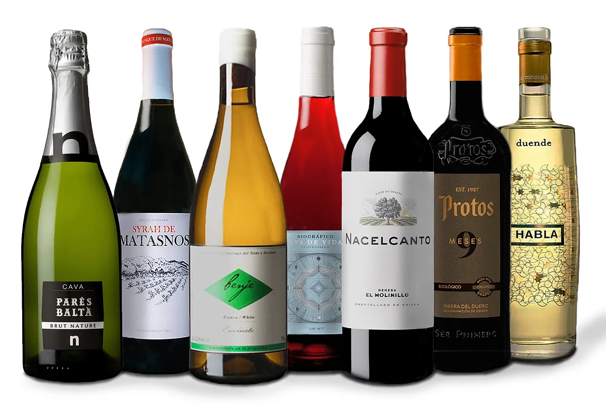 7 vinos  verdes  que calientan el invierno sin dañar el planeta