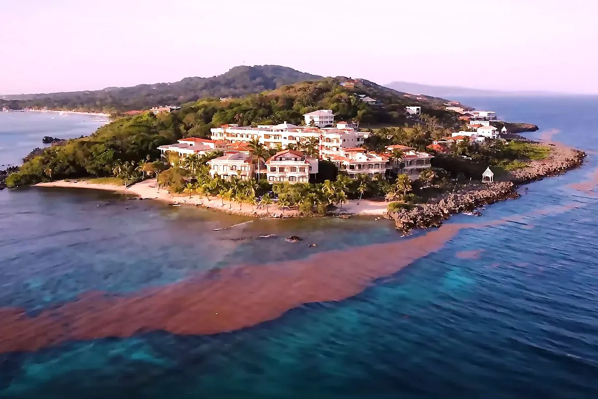 Desde Próspera, la república de los 'tecnobros', con sus leyes y su medicina experimental hasta la Generación Z que ha venido a cerrar el bar (después de ocho mil años bebiendo vino)