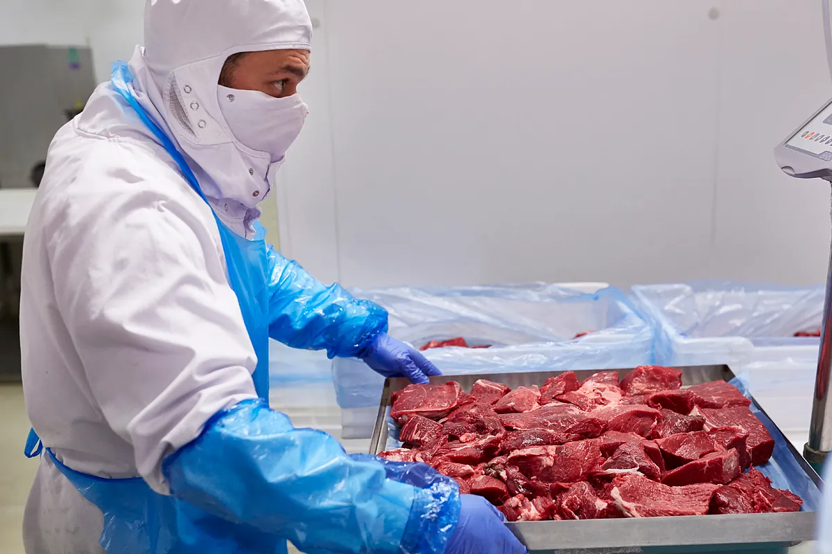 Más allá del petróleo: la factura de la guerra afecta a 30 productos críticos para construcción, la industria y la agricultura española