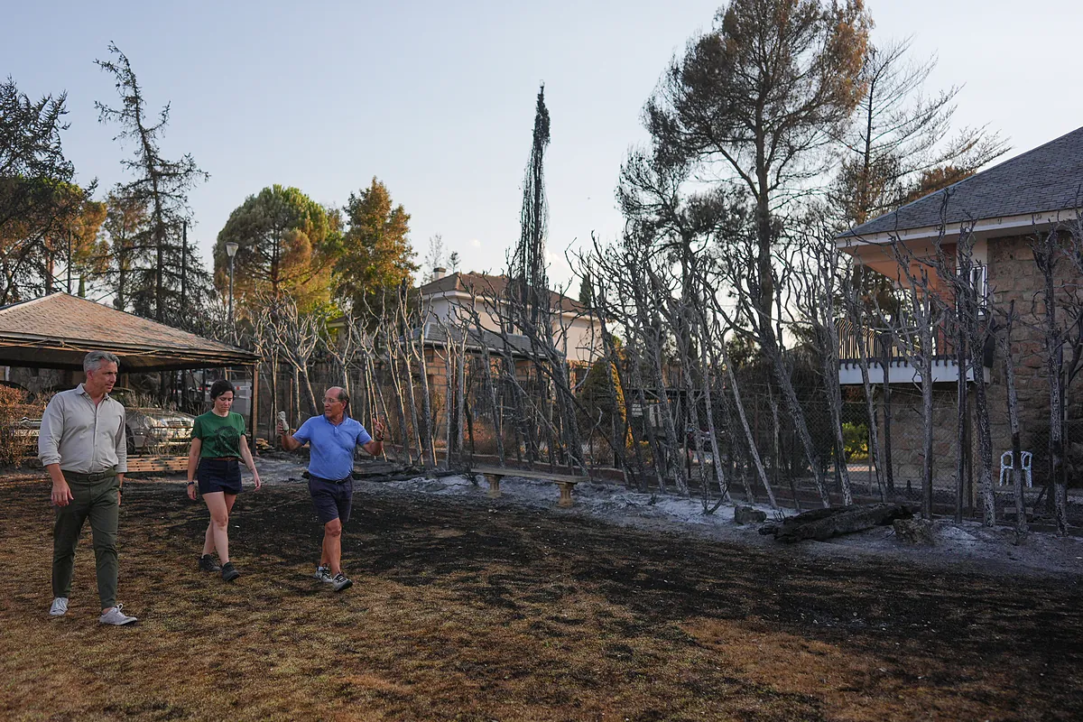 Un millón de euros para retirar arizónicas en viviendas próximas a áreas forestales de Madrid