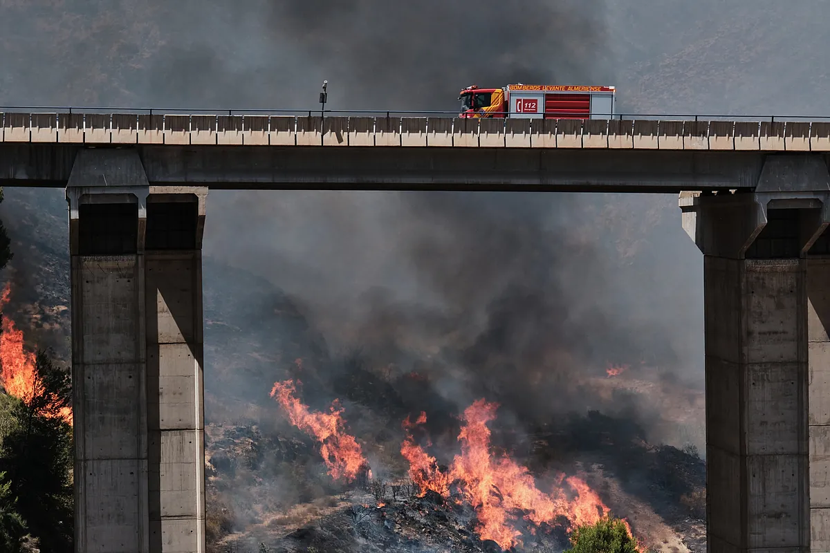Incendio en Almería, última hora de Los Gallardos, en directo | Reabierta al tráfico la A-7 tras permanecer cortada por el incendio de Los Gallardos