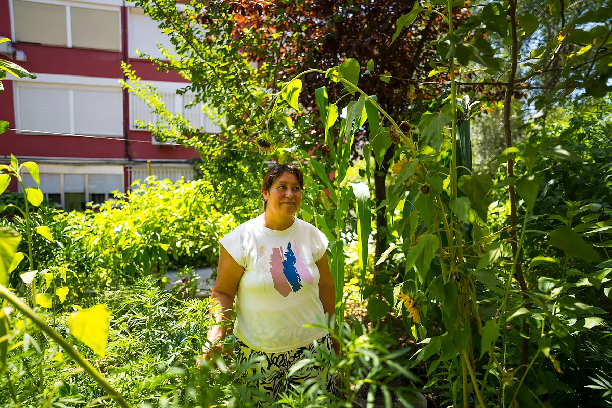 El auge de los jardines cultivados por los vecinos se expande en Madrid: "Mantener el huerto me ayudó a salir de la depresión"
