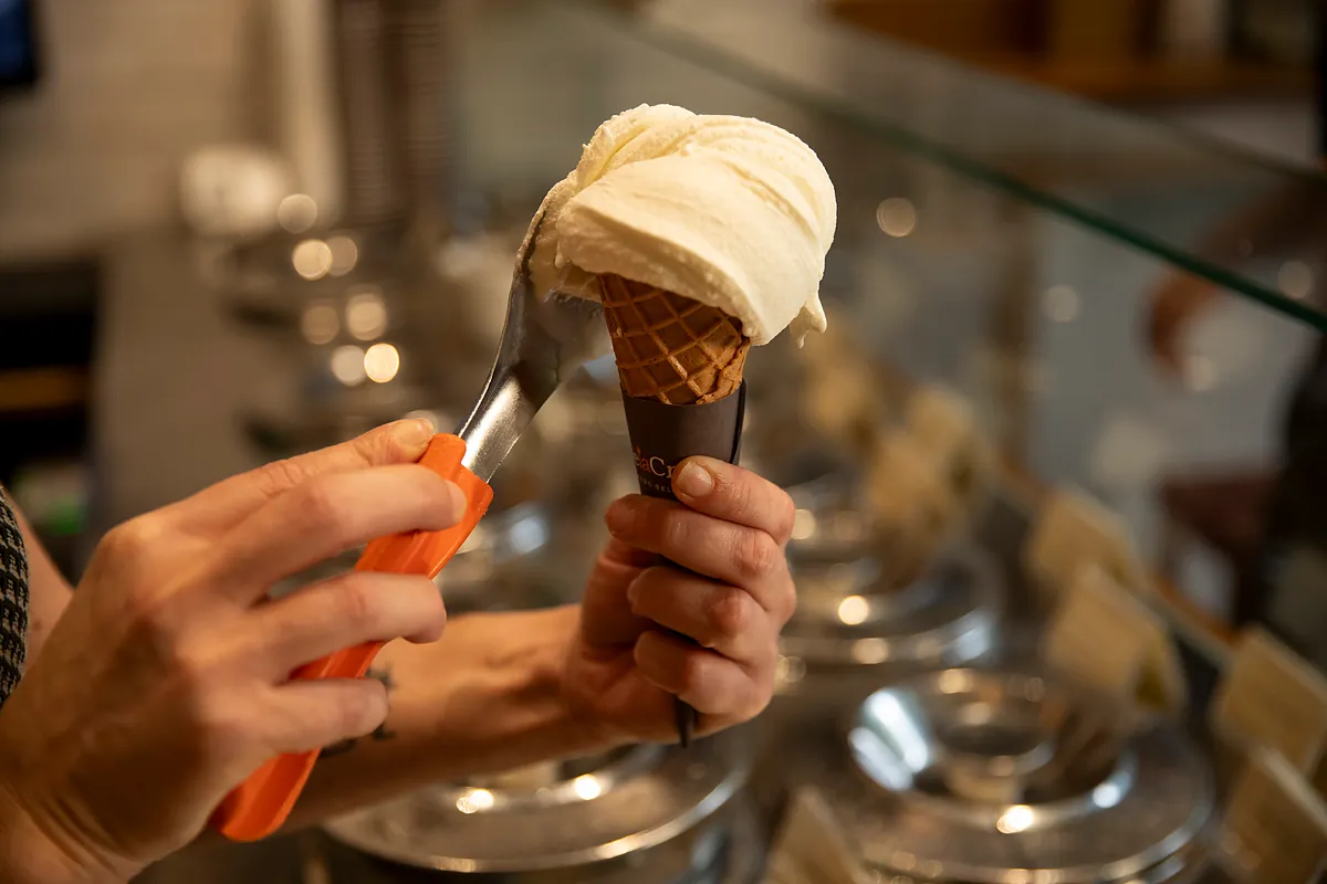 El enigma del tacto térmico: cómo el sistema nervioso distingue el frío del calor
