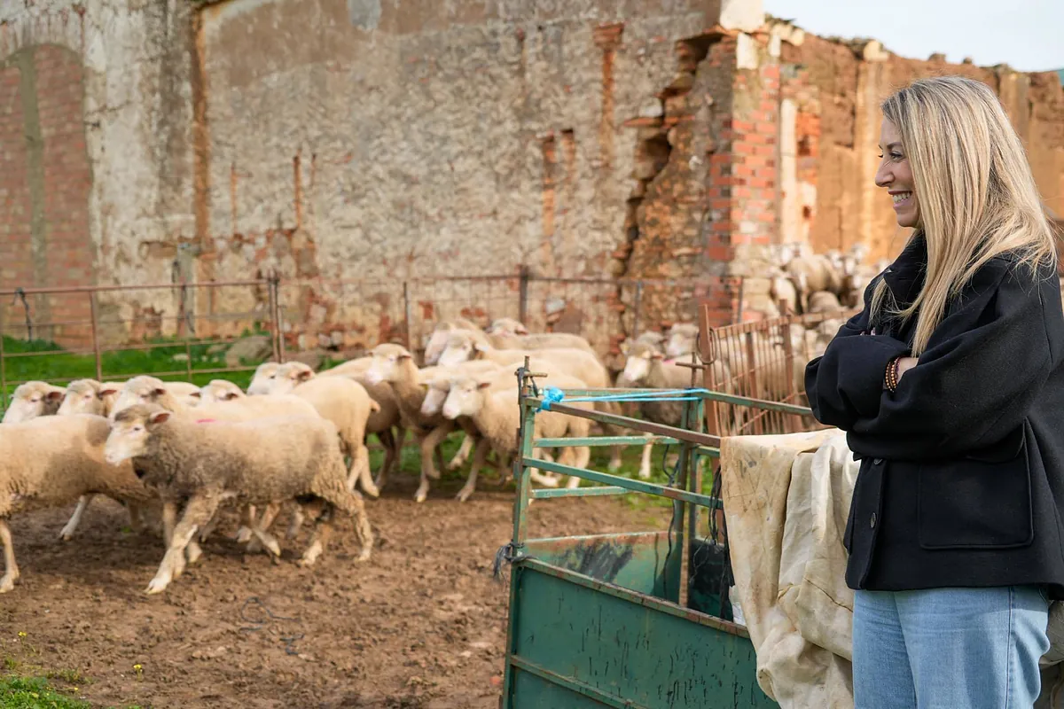 Guardiola se lanza a por el voto útil para acercarse a la mayoría absoluta