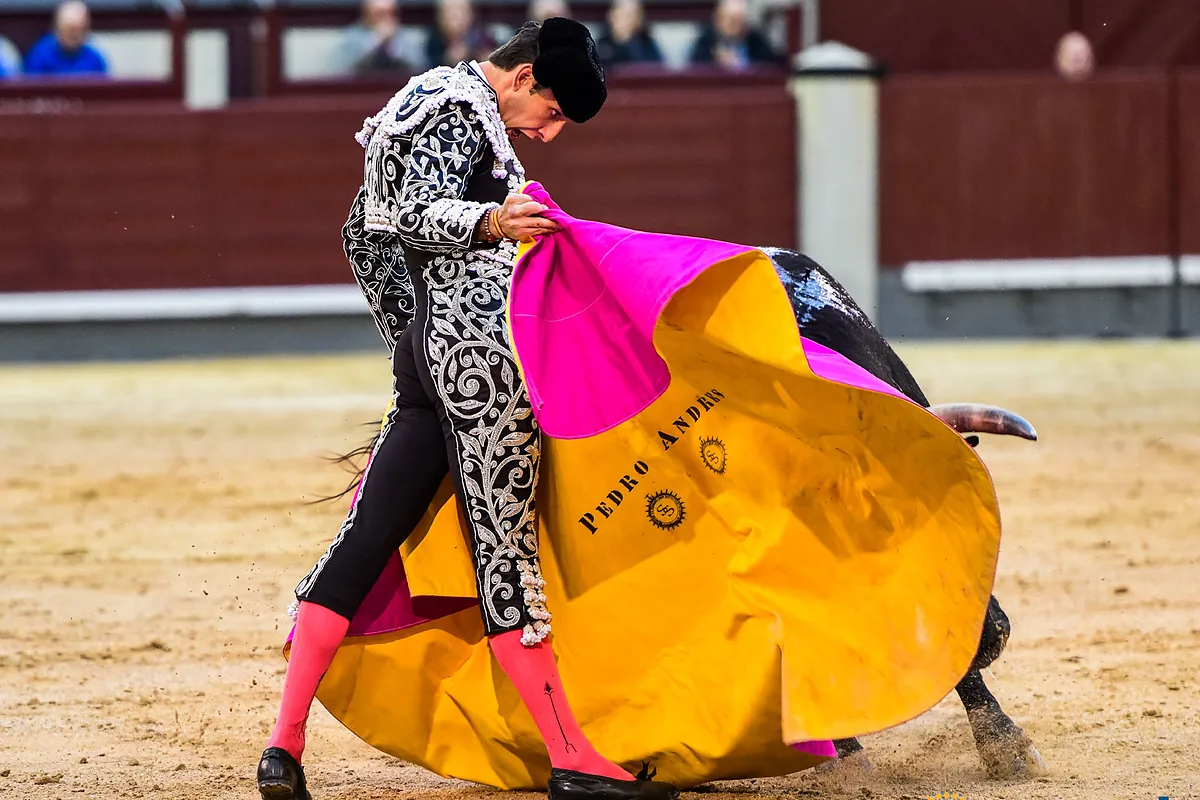 Pedro Andrés o la fuerza del querer de un novillero de Vitoria en Las Ventas