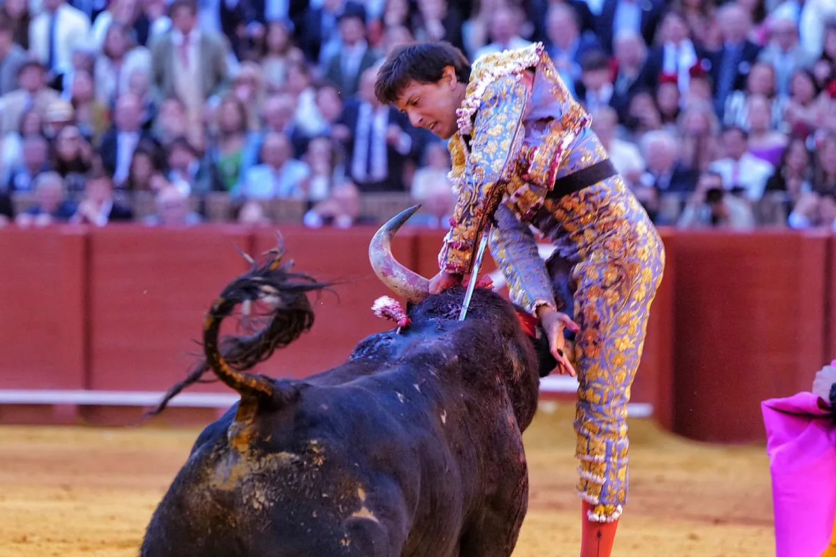 Roca Rey, a la espera de que los médicos retiren los drenajes de la cornada para recibir el alta hospitalaria en Sevilla