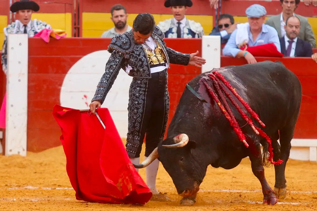 Lo tremendo frente al tremendismo: Morante marca la diferencia en tarde triunfal y huracanada de Manzanares y Roca Rey en Alicante