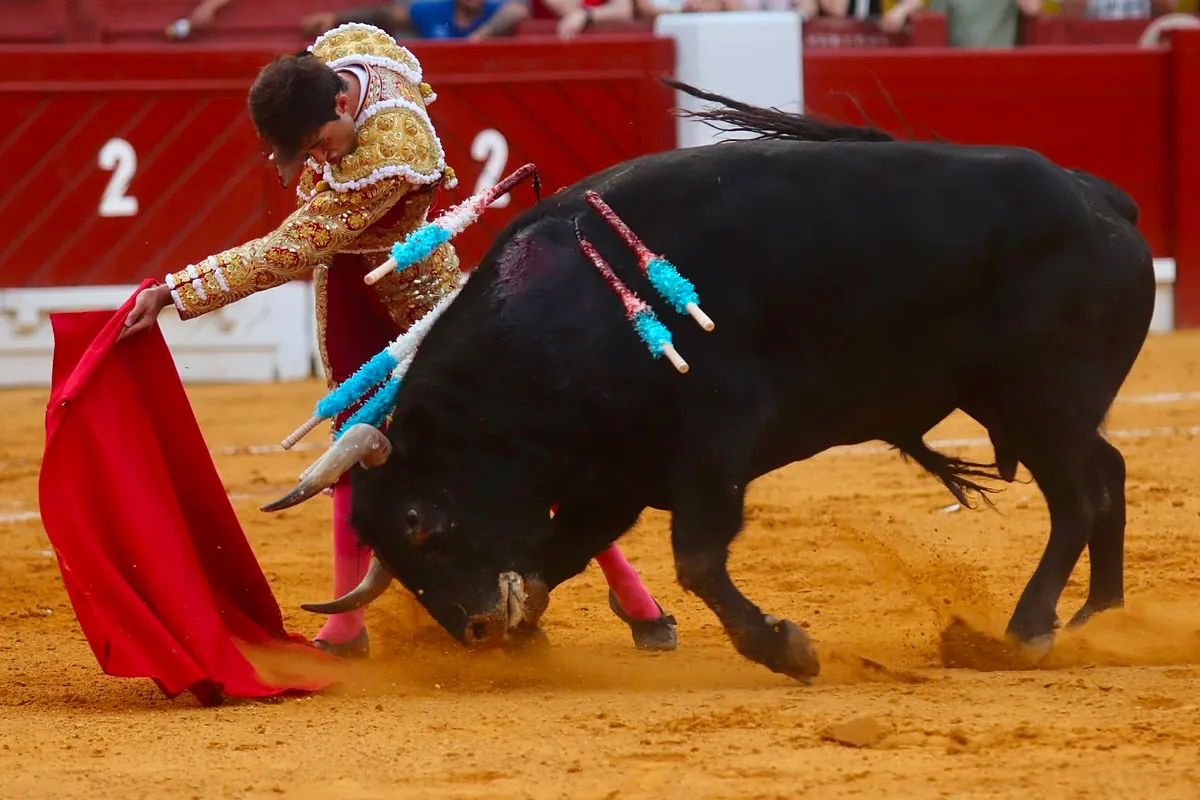 Samuel Navalón se impone en la difícil prueba del Puerto en Alicante