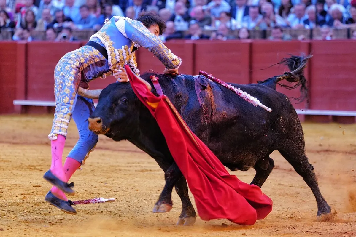 Roca Rey, herido grave en Sevilla