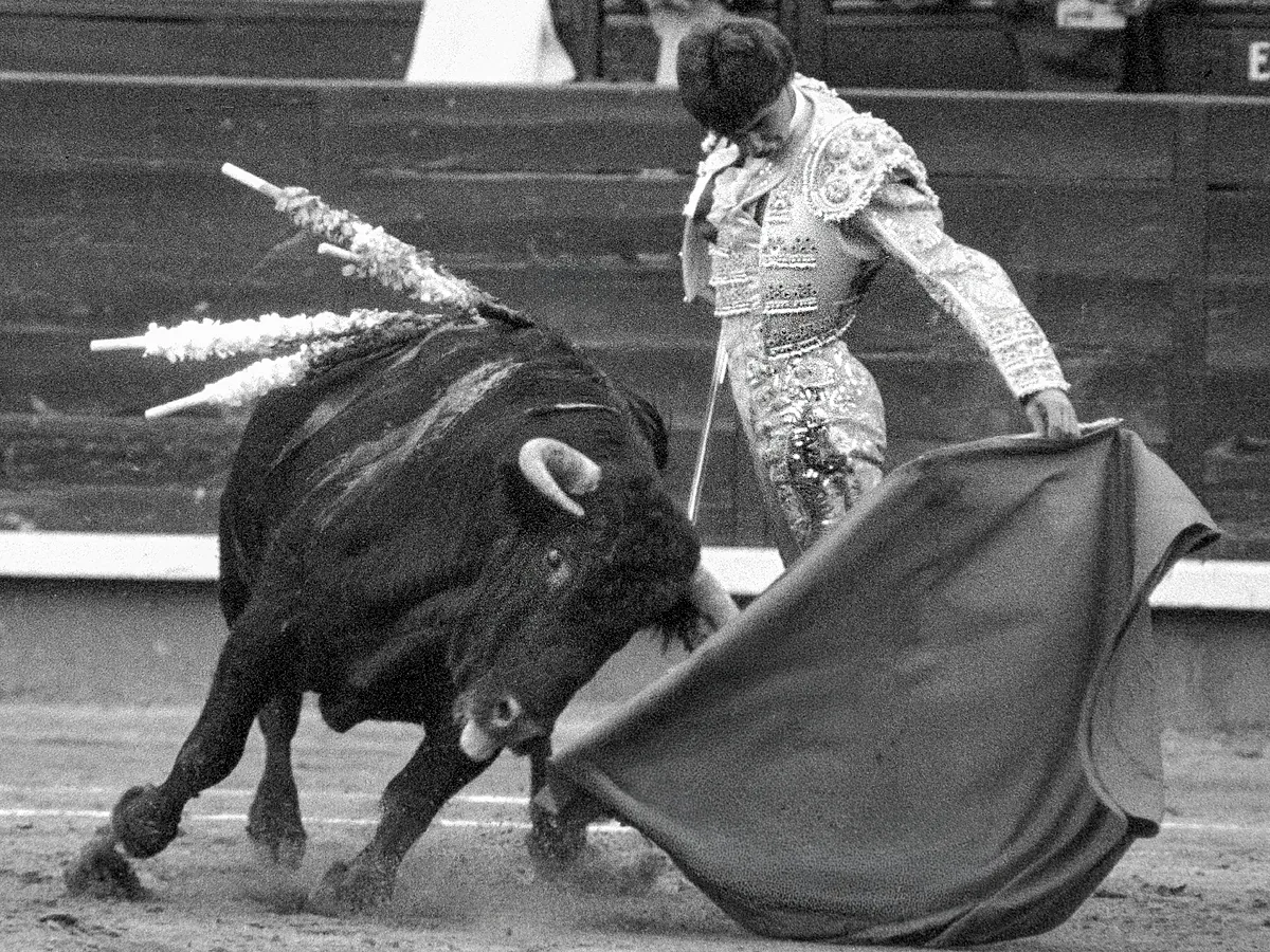 El Niño de la Taurina: "¡Joder, parece que yo no he sido de la Escuela de Madrid!"