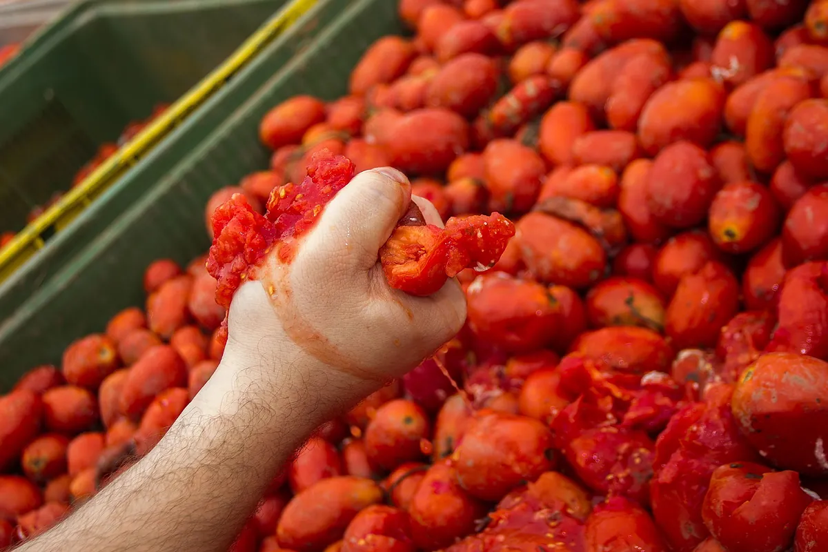 Más de 1.000 niños tiñen Buñol de rojo con 5.000 kilos de tomate en la 12ª edición de la Tomatina Infantil