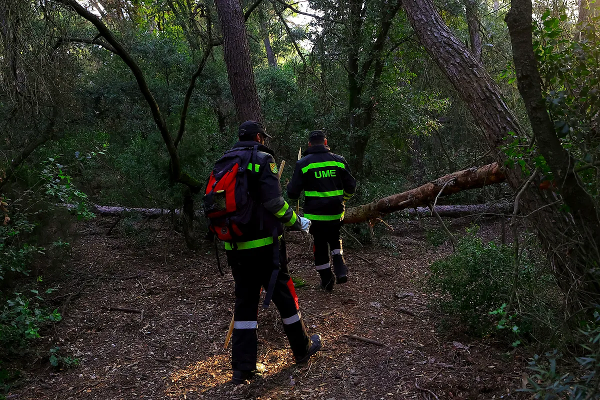 Cataluña eleva a 216 los casos de peste porcina y un jabalí infectado en Sant Just Devern obliga a ampliar el radio de seguridad