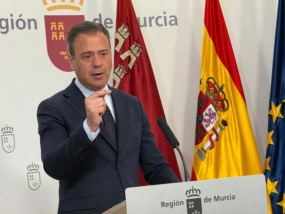 El gobierno de López Miras pide a Vox que deje de  condicionar  la Ley de Vivienda en Murcia por sus  disputas internas :  En sus líos, que no nos metan 