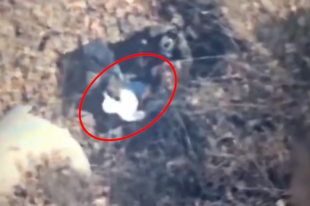 Momento de la detención del narco 'El Jardinero', el nuevo líder del Cartel Jalisco Nueva Generación y sustituto de 'El Mencho'