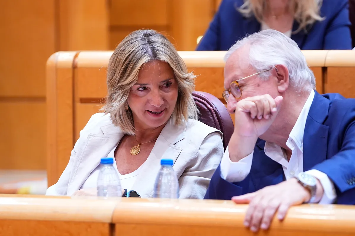 El PP anuncia un verano "sin respiro" a la "corrupción sanchista": cita en el Senado a Aagesen y Narbona y llamará otra vez a Zapatero