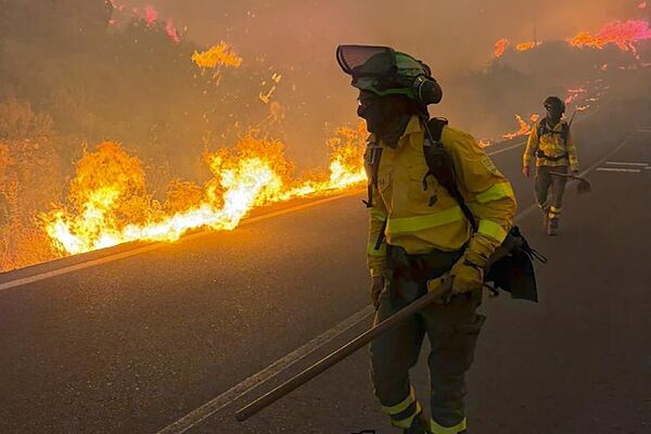 Bomberos luchan contra el fuego en el incendio de Los Gallardos (Andalucía).