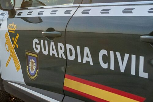 Detienen a un hombre en M�laga por una agresi�n sexual a una pasajera de un avi�n durante un vuelo