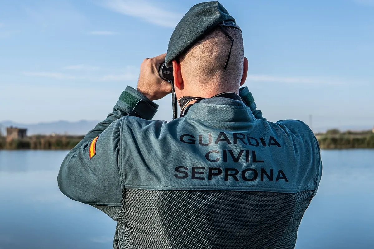 El Seprona investiga al dueño de una explotación ganadera en San Roque tras localizar 30 ovejas muertas en su instalación