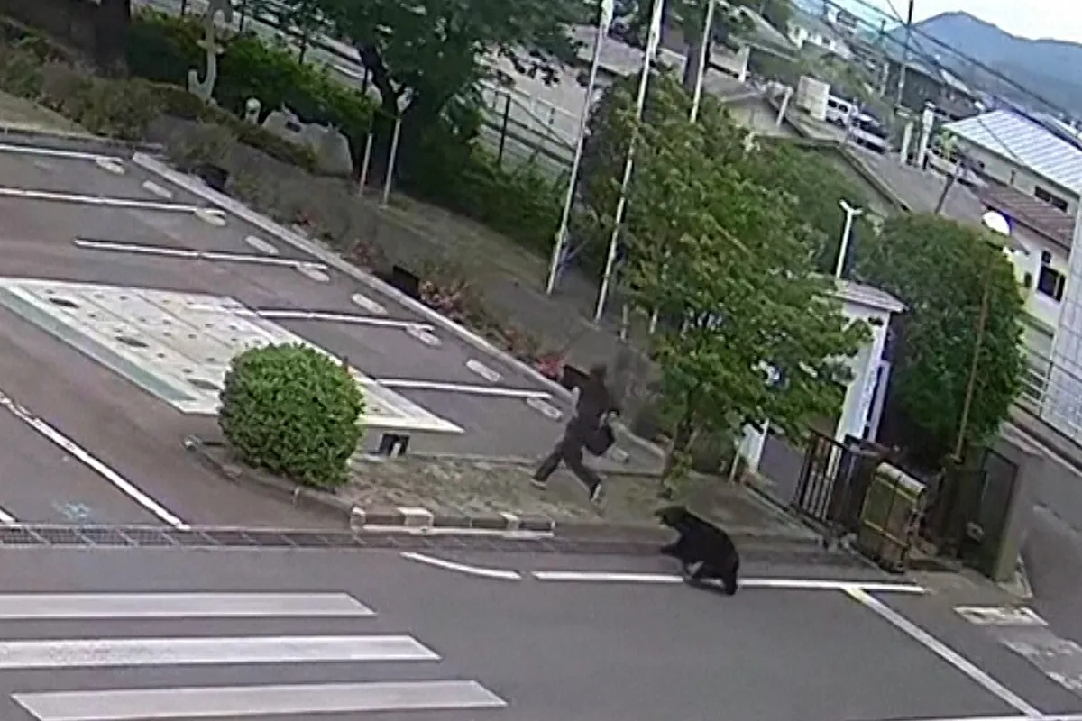Una cámara capta el ataque de oso contra un empleado en Fukushima