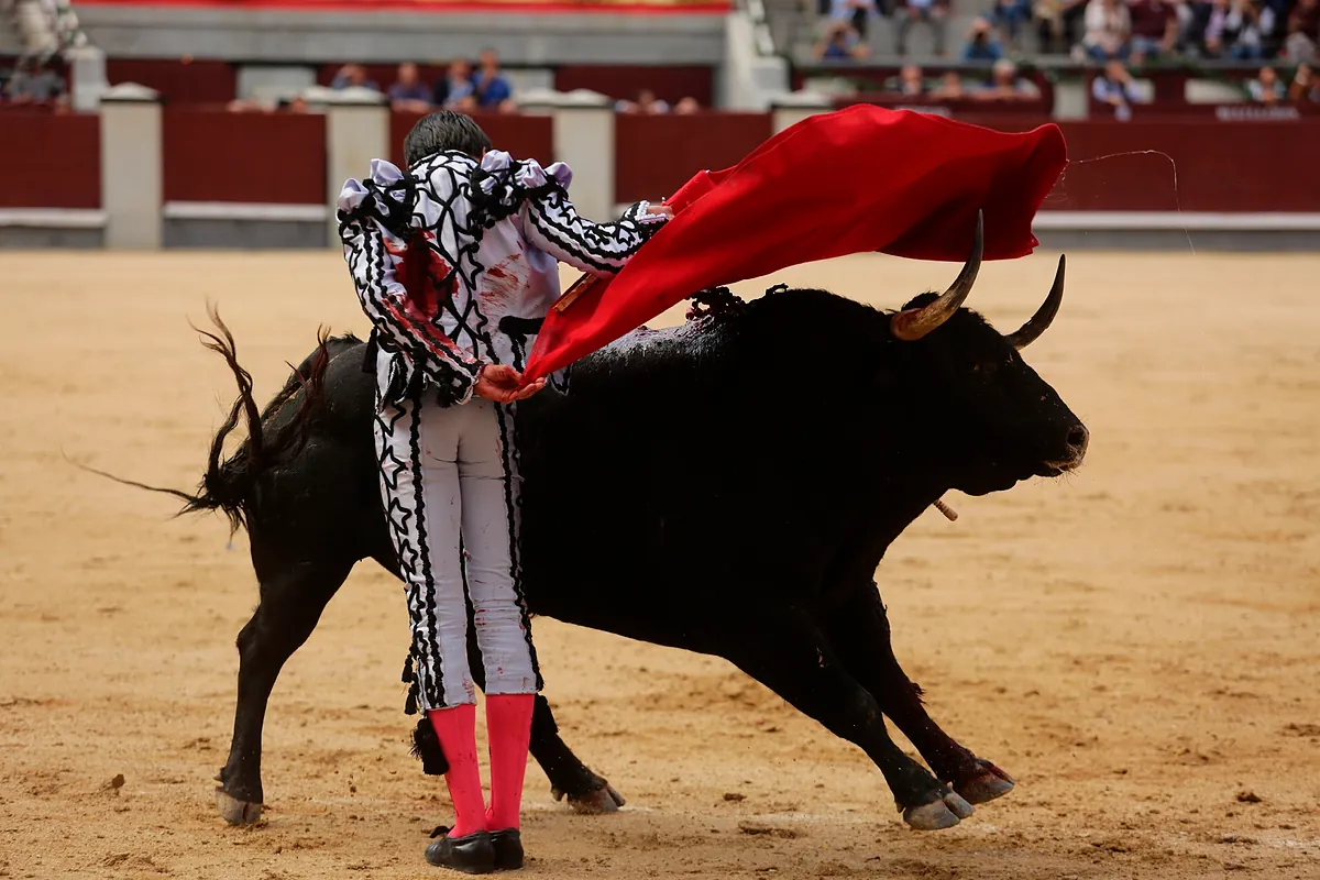 Uceda Leal, El Cid y Javier Cortés lidian la corrida goyesca del 2 de mayo en Las Ventas — image 2